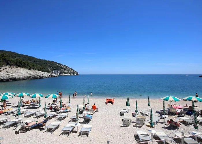Belvedere 2* Pugnochiuso