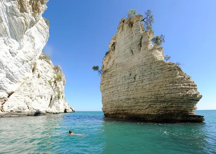 Belvedere 2* Pugnochiuso