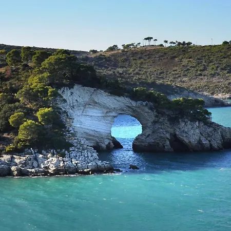 Belvedere 2* Pugnochiuso