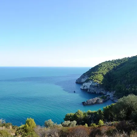 Belvedere 2*